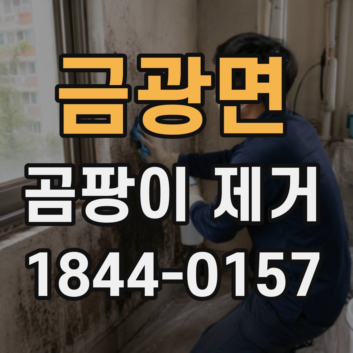 금광면 곰팡이 제거