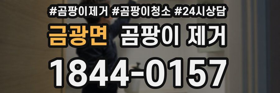 금광면 곰팡이 제거