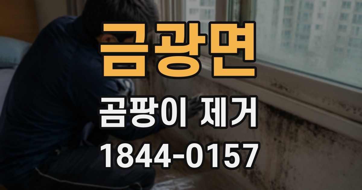 금광면 곰팡이 제거