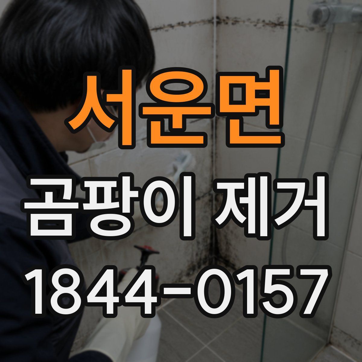 서운면 곰팡이 제거