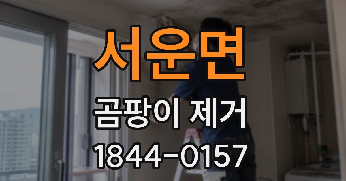 서운면 곰팡이 제거