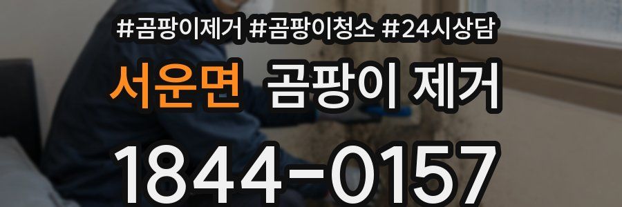 서운면 곰팡이 제거