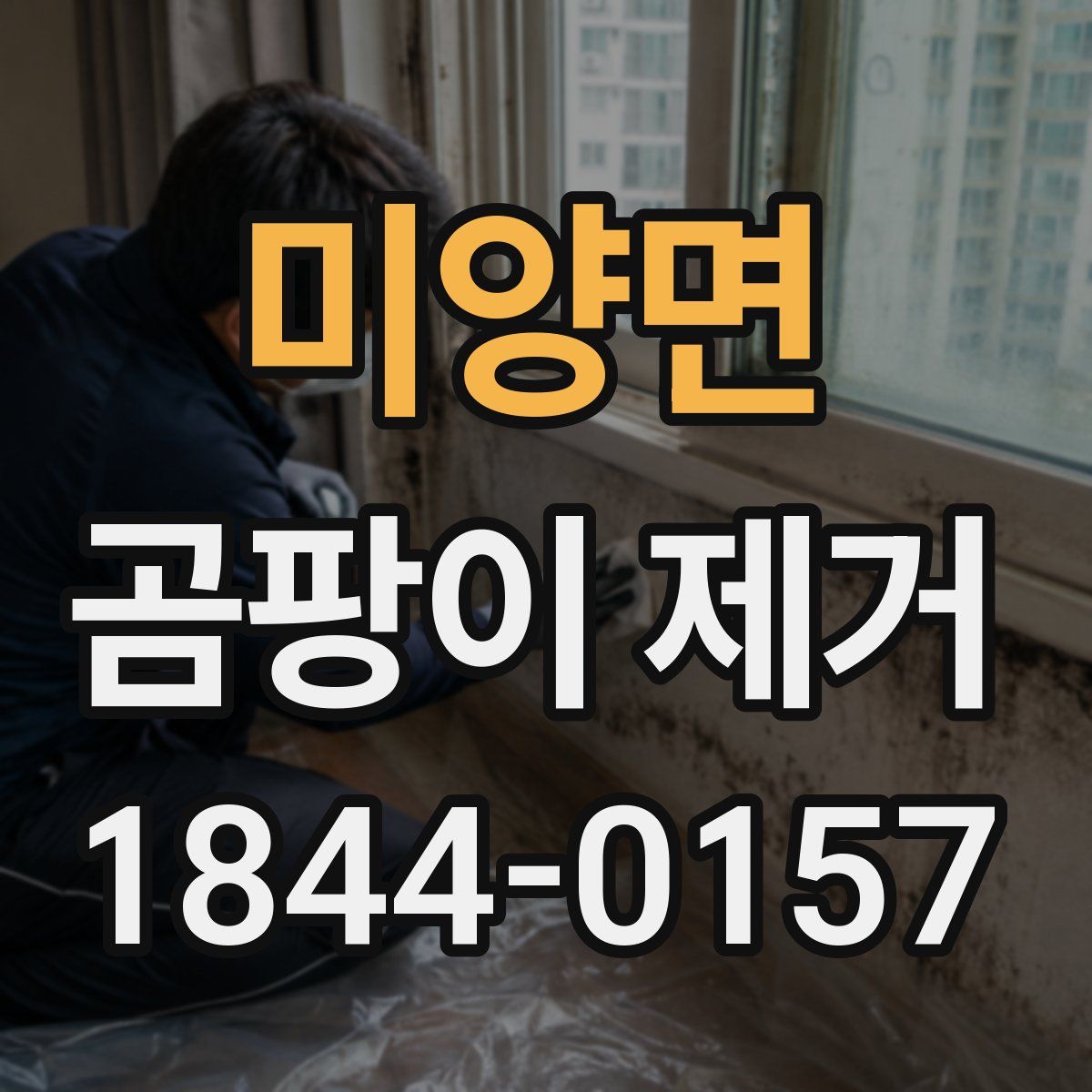 미양면 곰팡이 제거