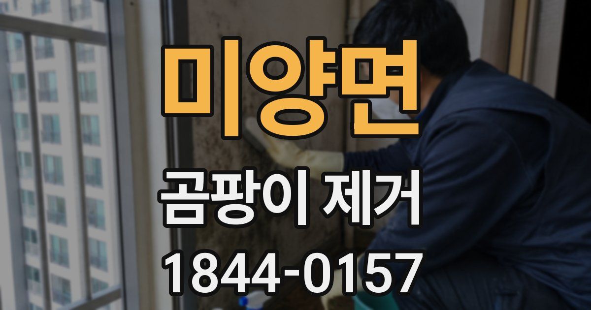 미양면 곰팡이 제거