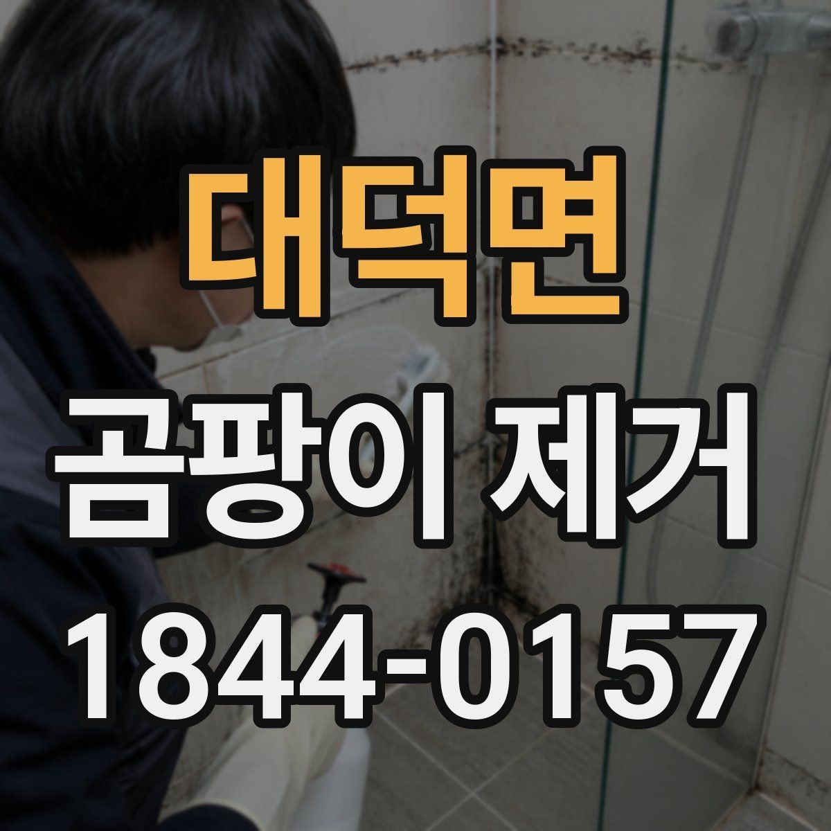 대덕면 곰팡이 제거 방마다 다른 원인과 대응을 구분하는 법