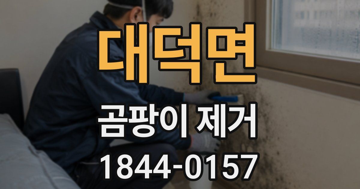 대덕면 곰팡이 제거