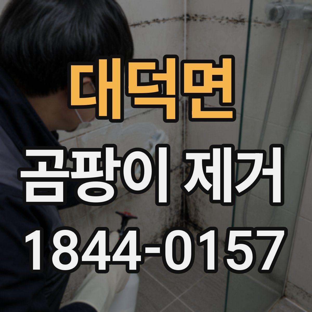 대덕면 곰팡이 제거
