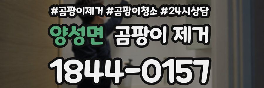 양성면 곰팡이 제거