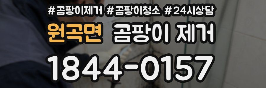 원곡면 곰팡이 제거