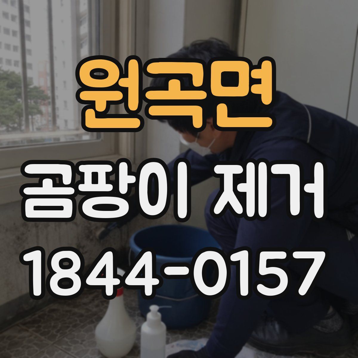 원곡면 곰팡이 제거