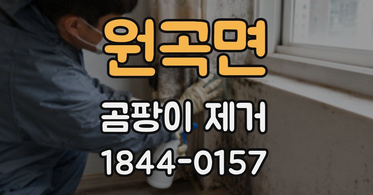 원곡면 곰팡이 제거