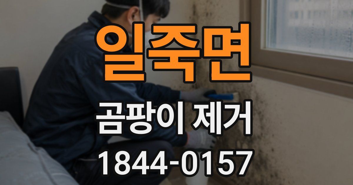 일죽면 곰팡이 제거