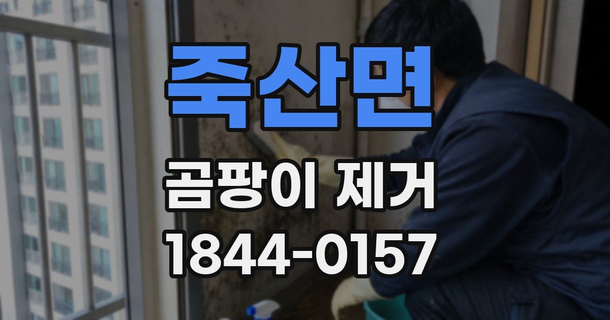 죽산면 곰팡이 제거