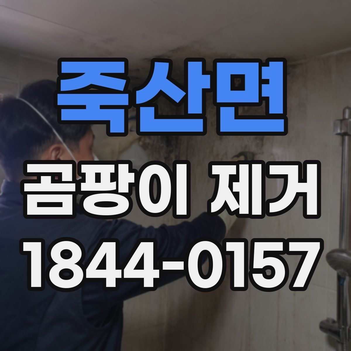 죽산면 곰팡이 제거