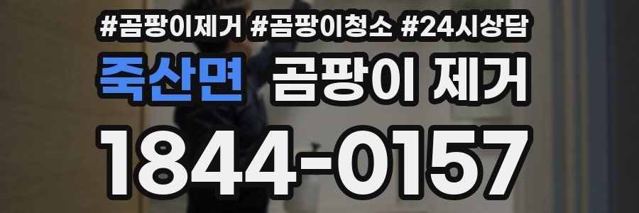 죽산면 곰팡이 제거