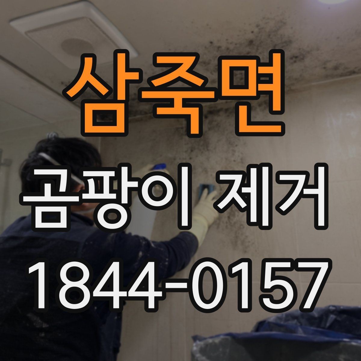 삼죽면 곰팡이 제거 장마철 전에 점검할 예방 습관