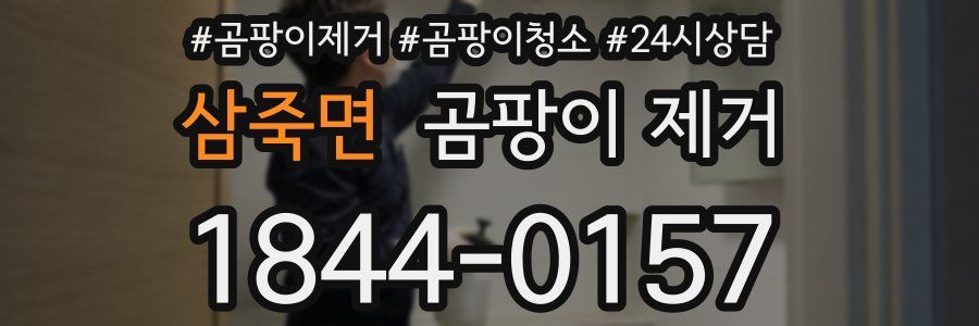 삼죽면 곰팡이 제거