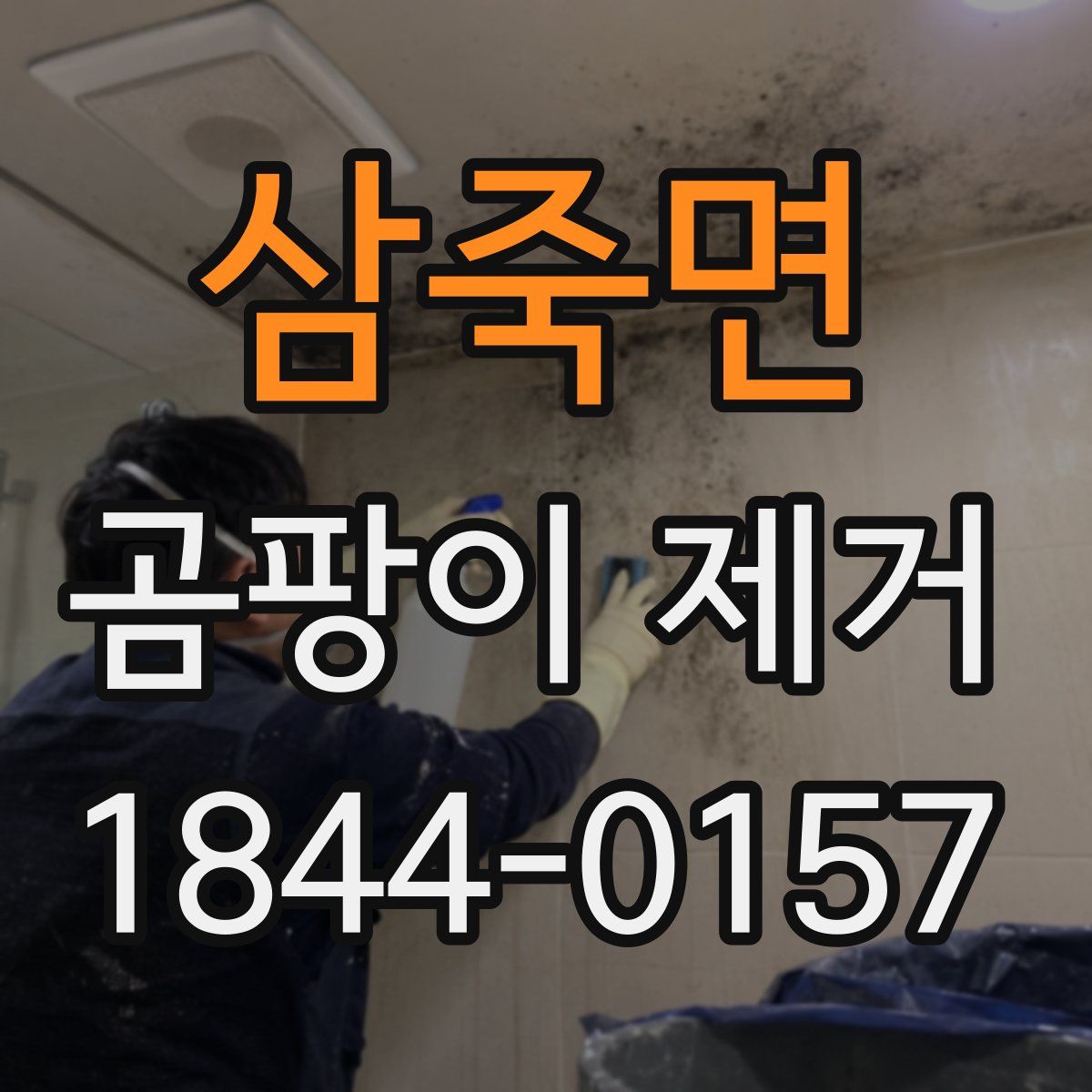 삼죽면 곰팡이 제거