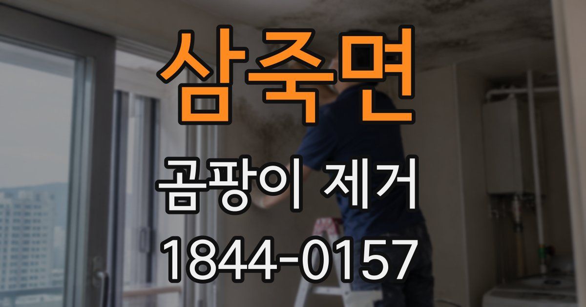 삼죽면 곰팡이 제거