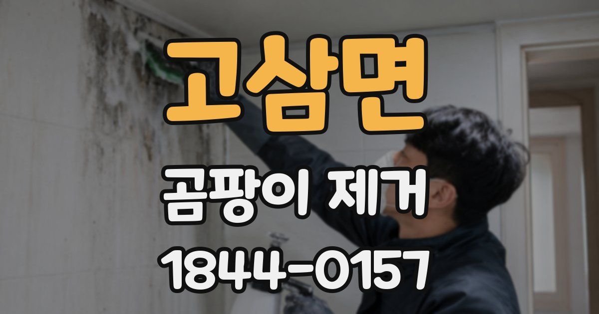 고삼면 곰팡이 제거