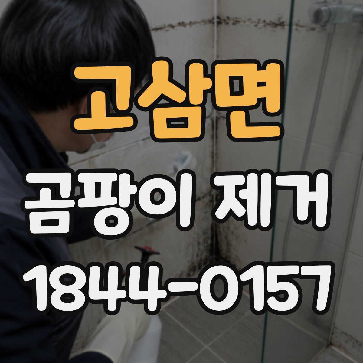 고삼면 곰팡이 제거