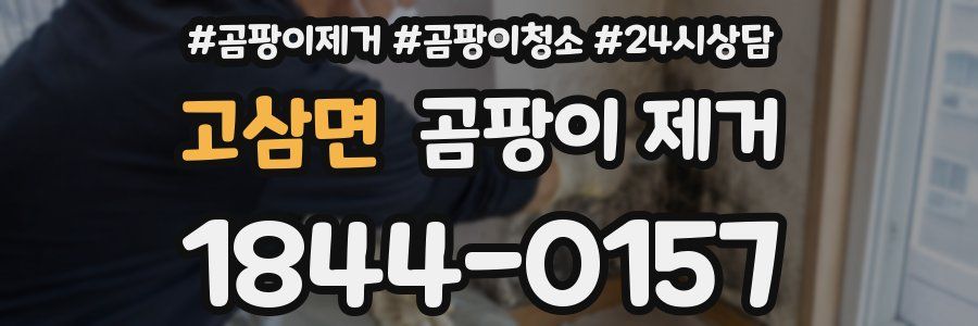 고삼면 곰팡이 제거
