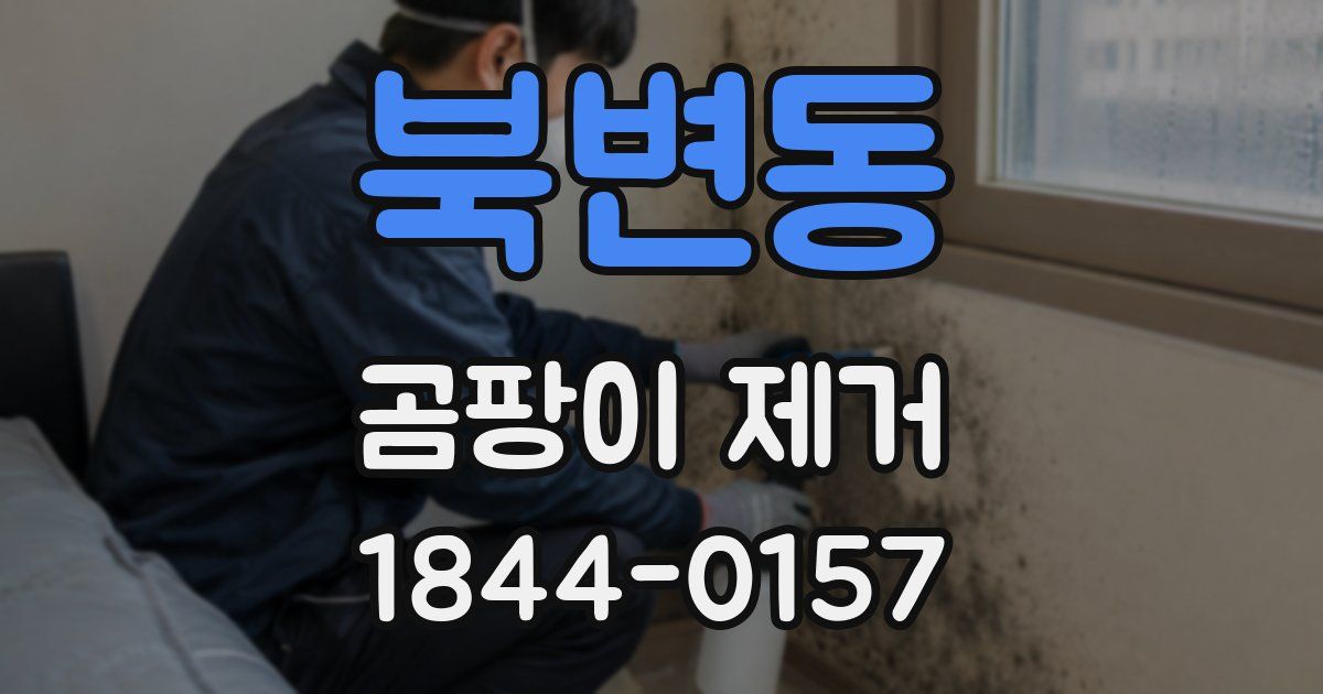 북변동 곰팡이 제거