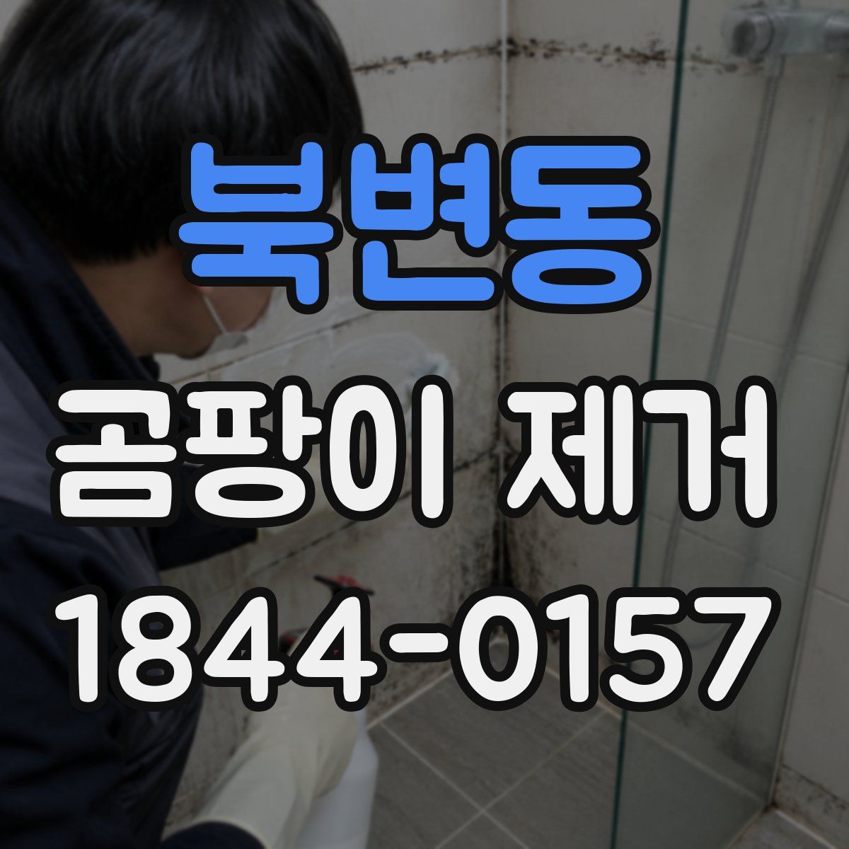 북변동 곰팡이 제거