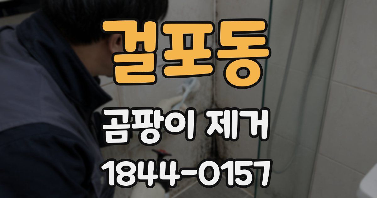걸포동 곰팡이 제거