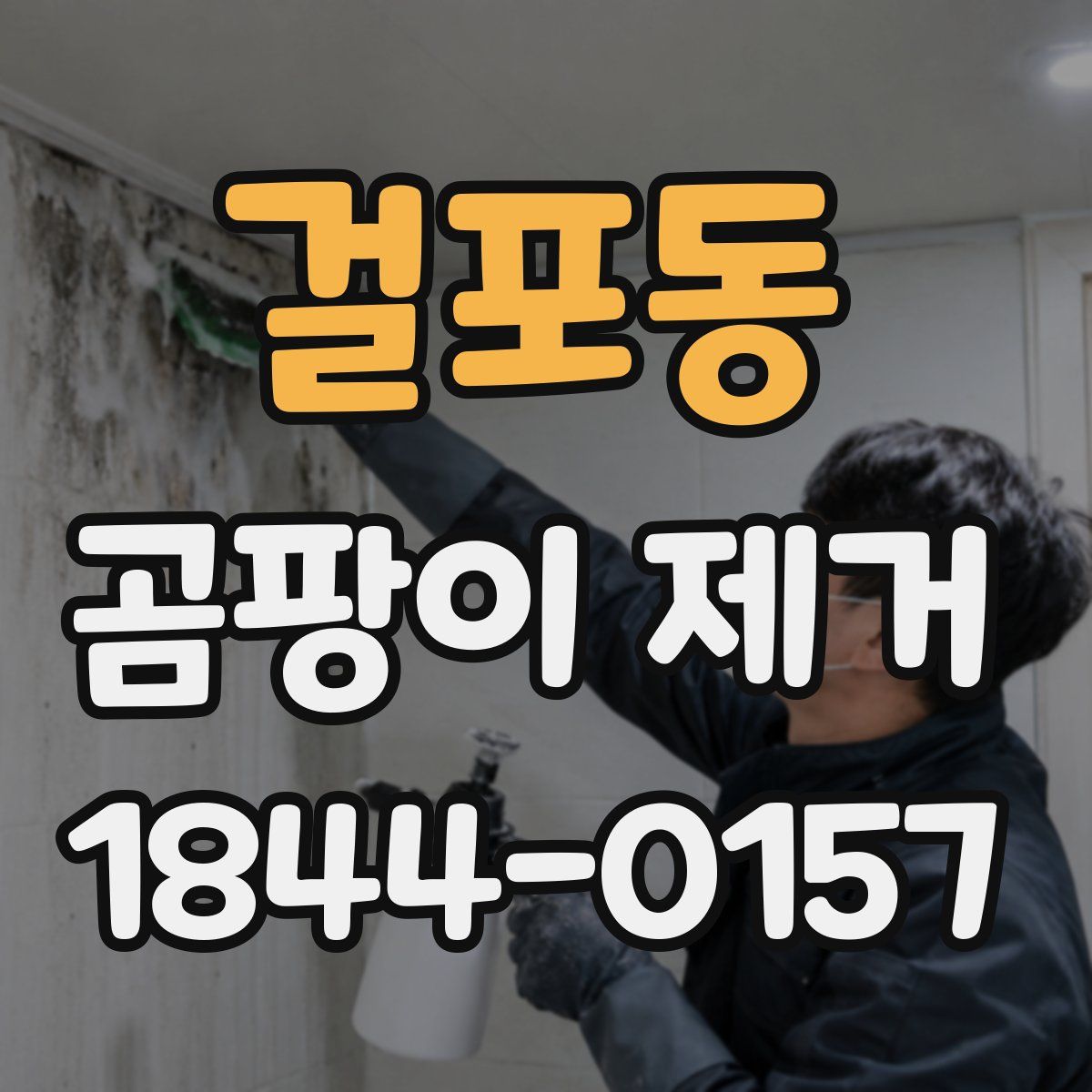걸포동 곰팡이 제거