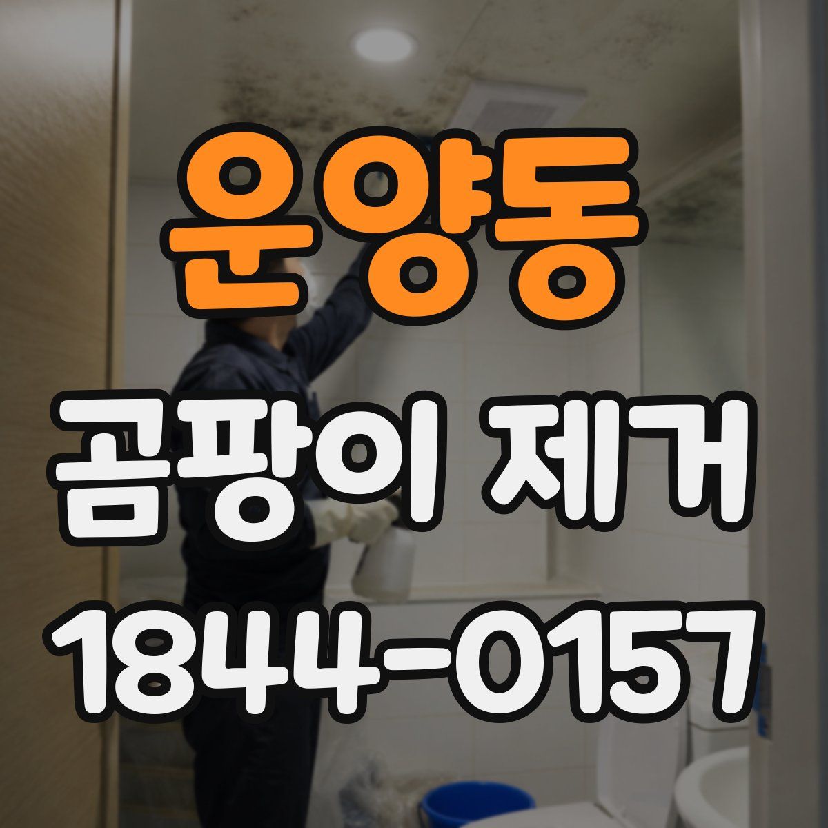 운양동 곰팡이 제거