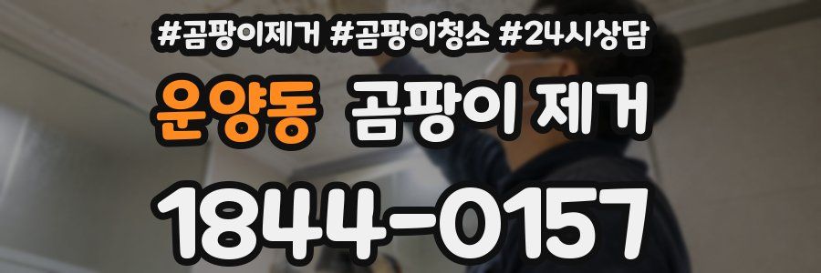 운양동 곰팡이 제거