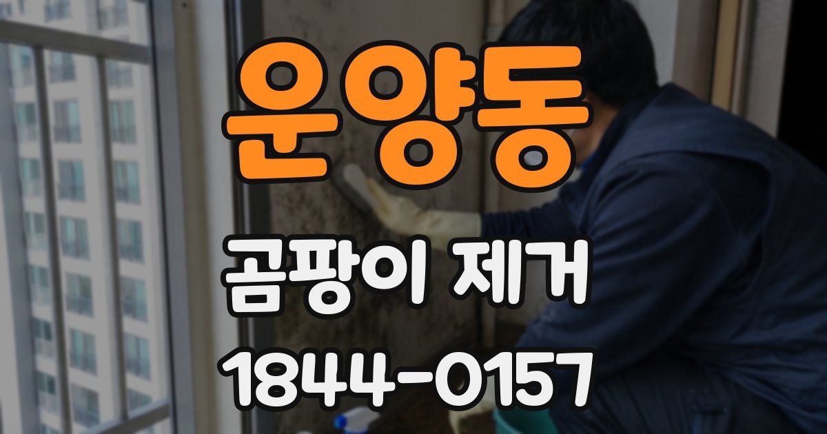 운양동 곰팡이 제거