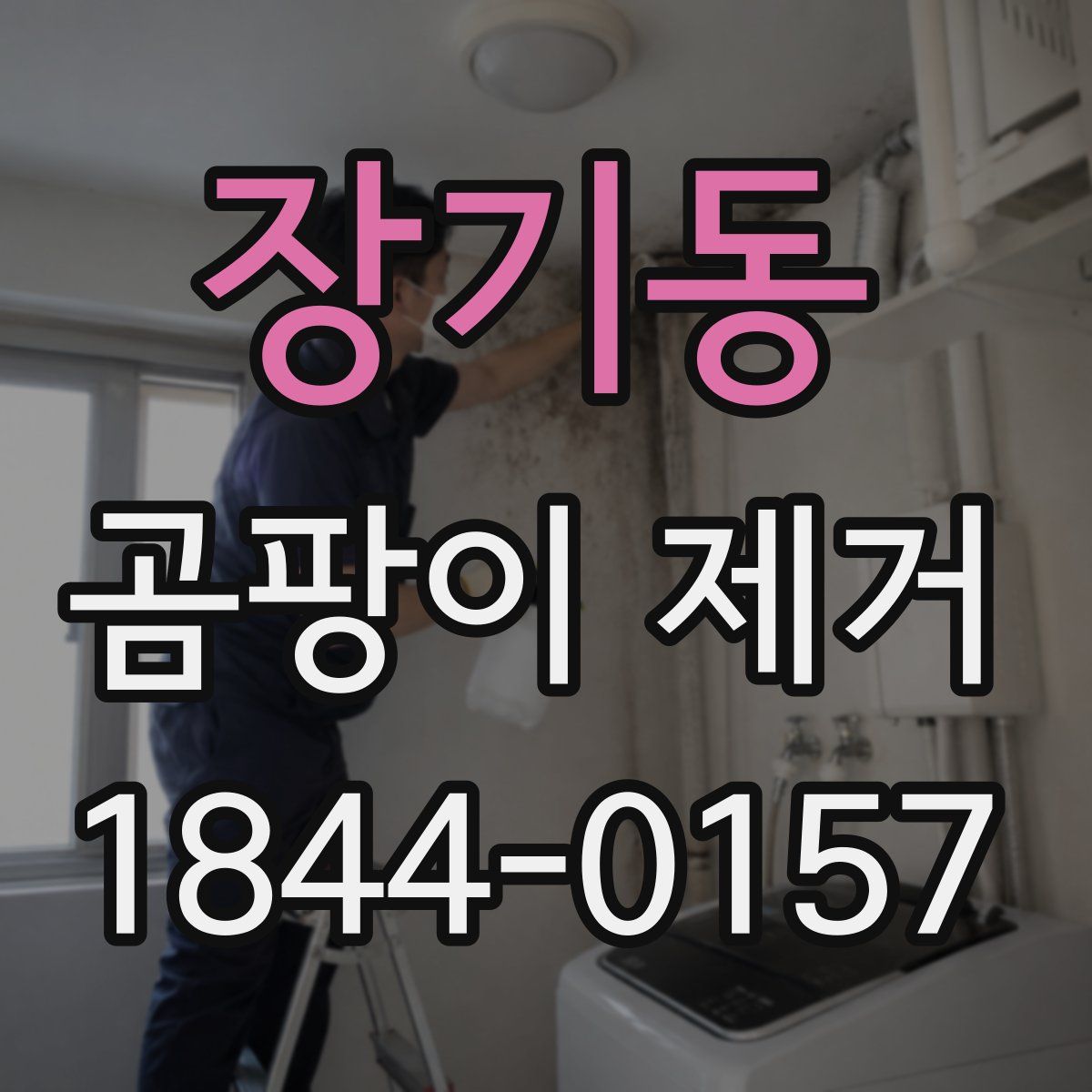 장기동 곰팡이 제거