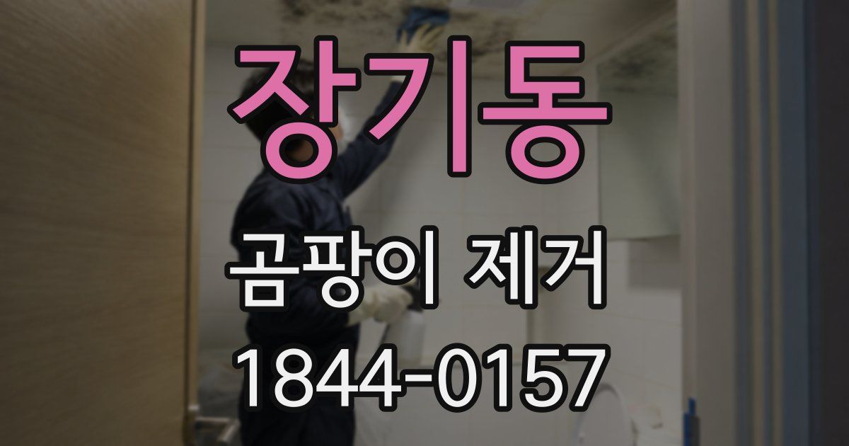 장기동 곰팡이 제거