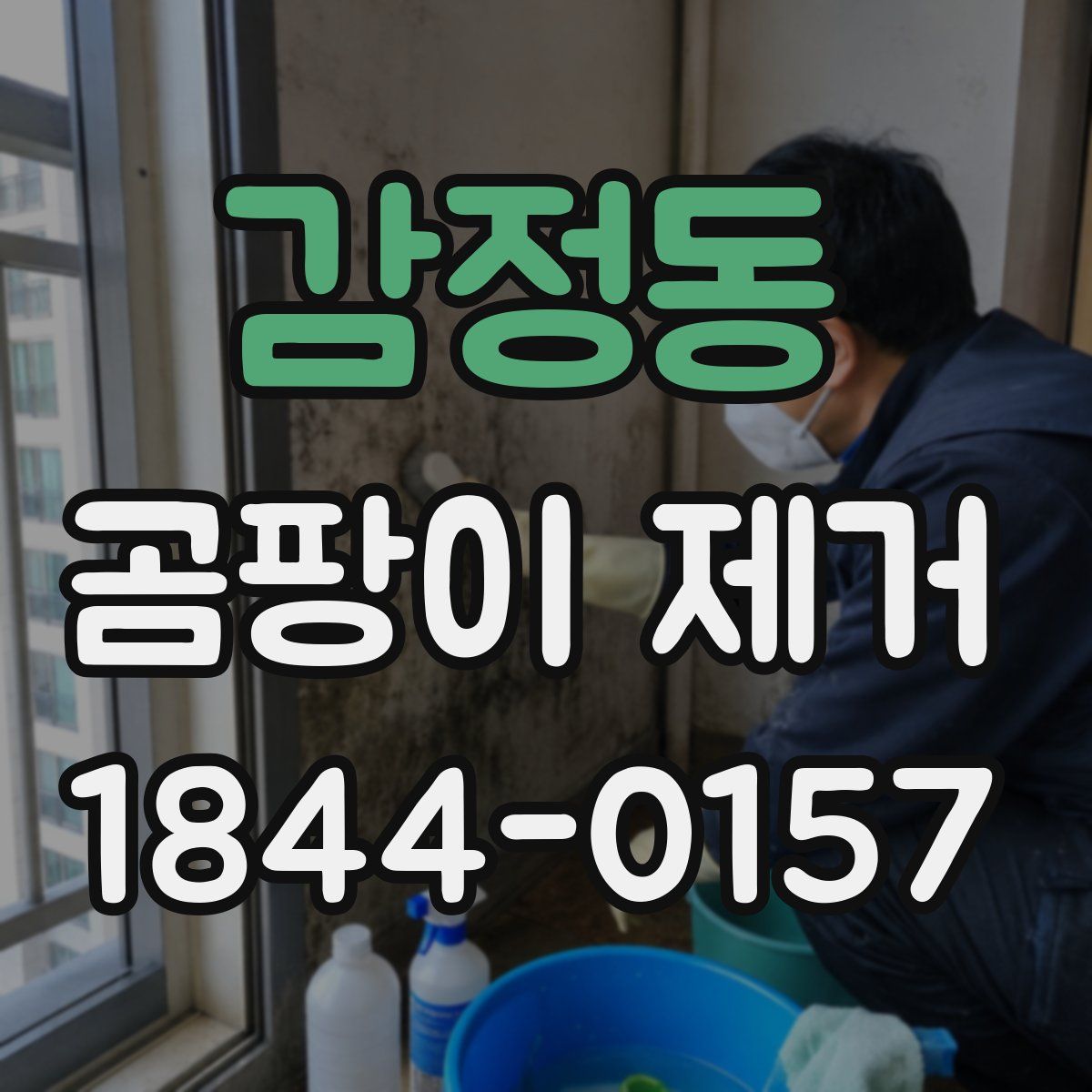 감정동 곰팡이 제거