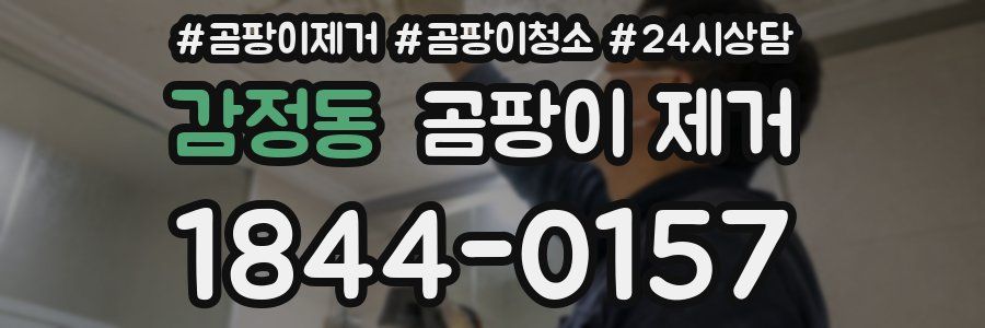 감정동 곰팡이 제거