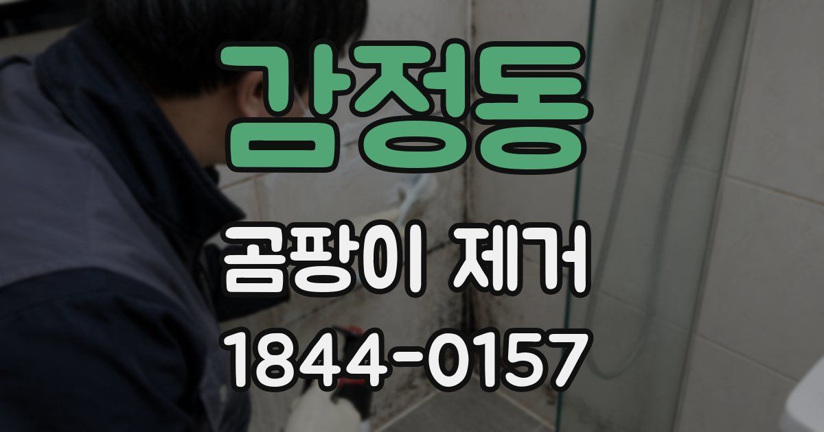 감정동 곰팡이 제거