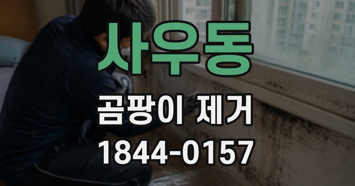 사우동 곰팡이 제거