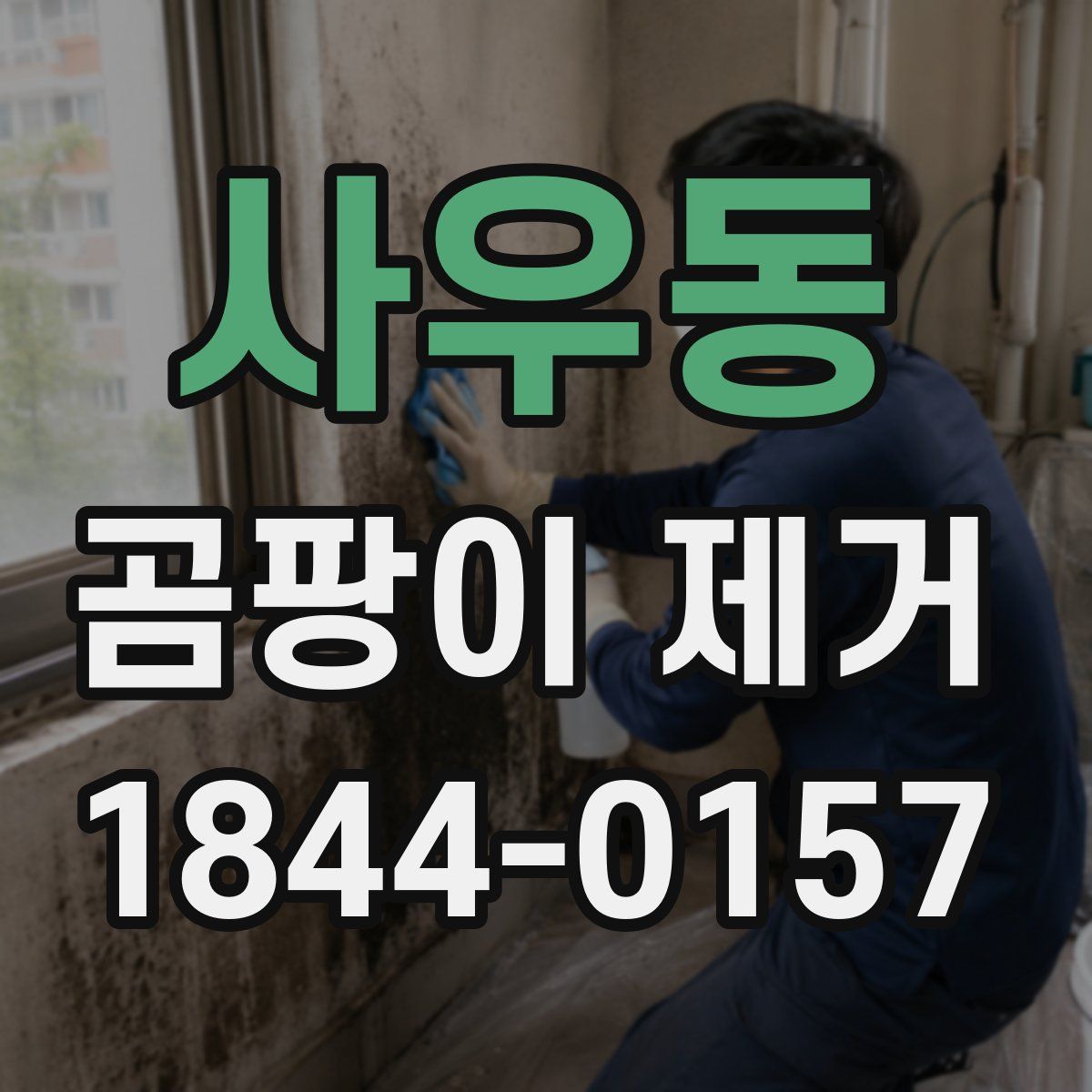 사우동 곰팡이 제거