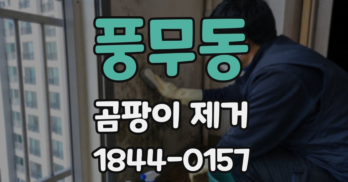 풍무동 곰팡이 제거