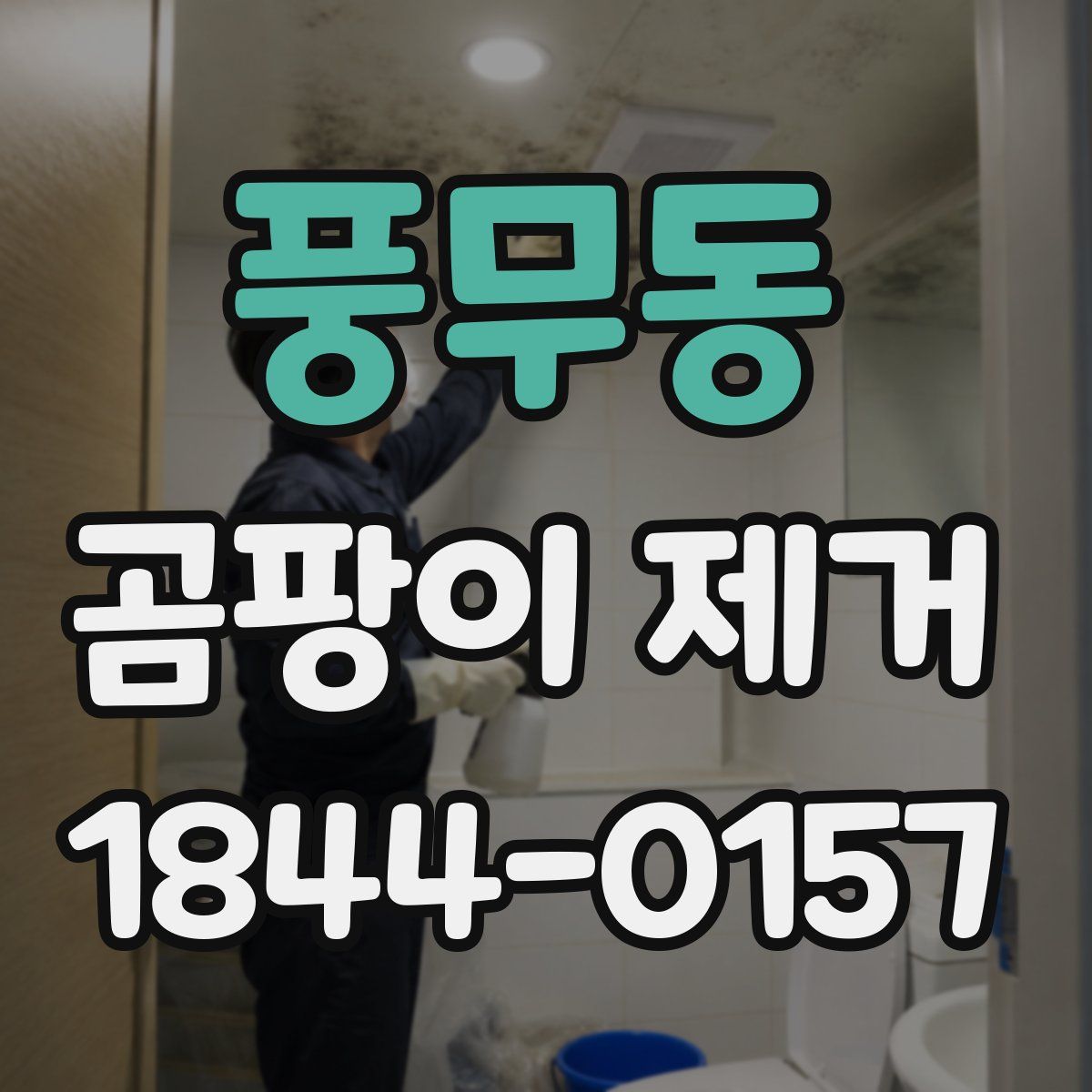 풍무동 곰팡이 제거