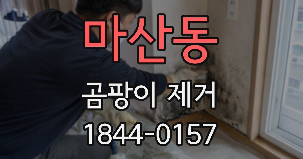 마산동 곰팡이 제거