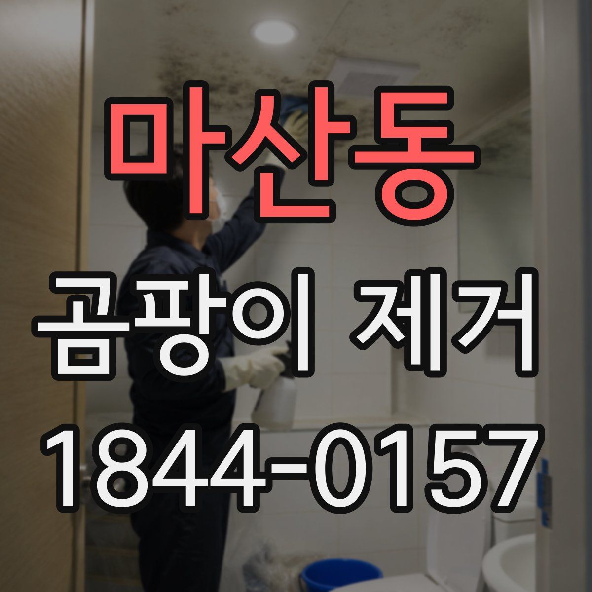 마산동 곰팡이 제거