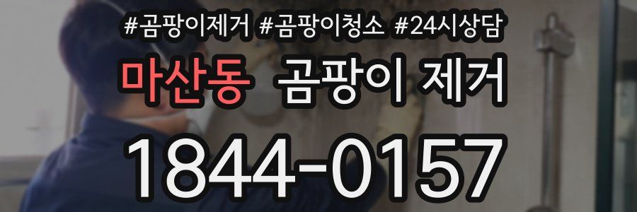 마산동 곰팡이 제거