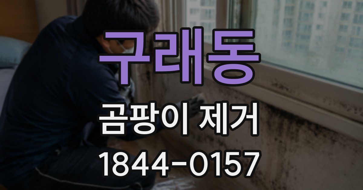 구래동 곰팡이 제거