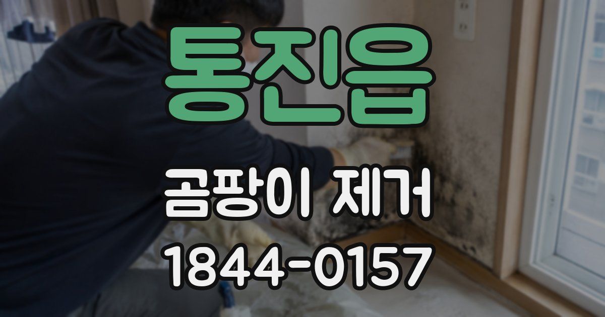 통진읍 곰팡이 제거
