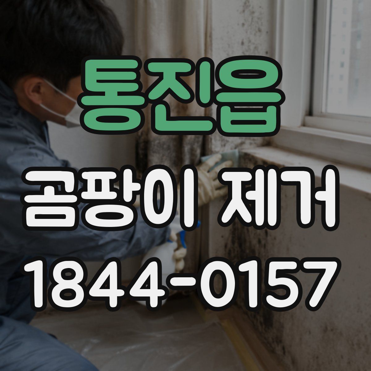 통진읍 곰팡이 제거