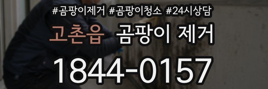 고촌읍 곰팡이 제거