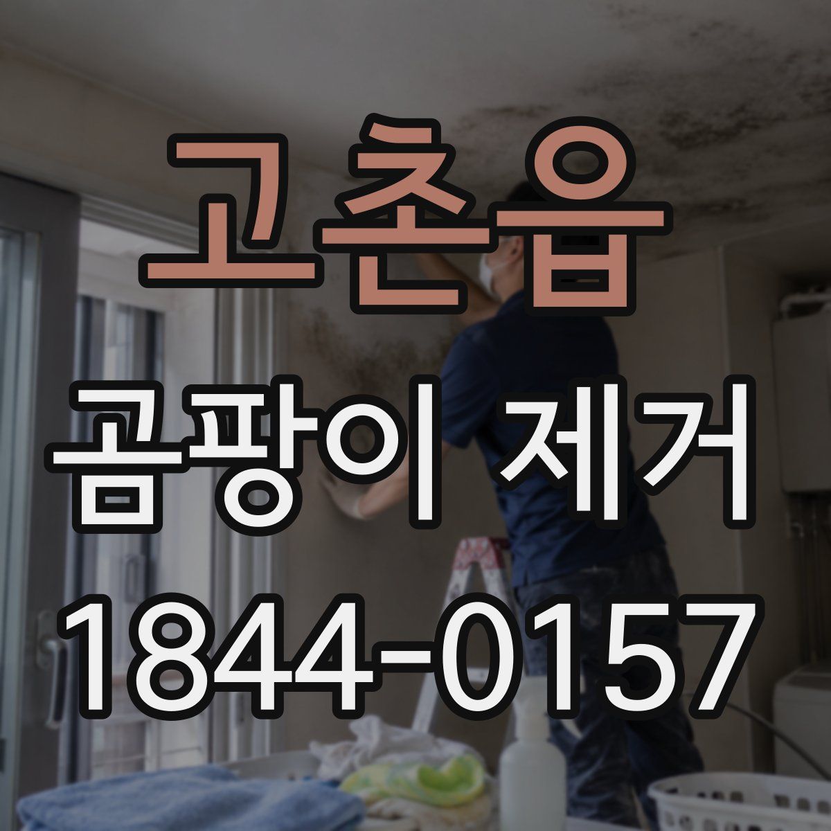 고촌읍 곰팡이 제거